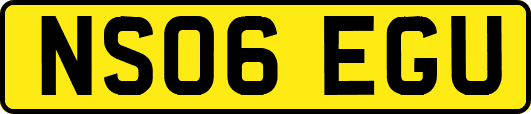 NS06EGU