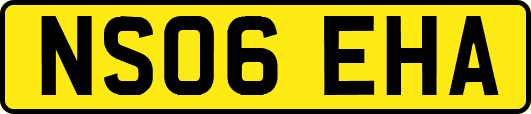 NS06EHA