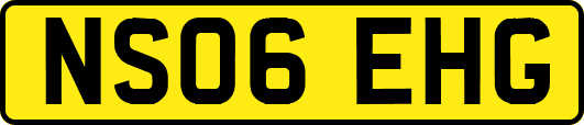 NS06EHG