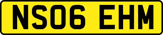 NS06EHM
