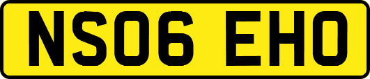 NS06EHO