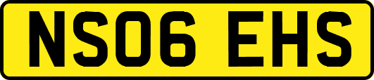 NS06EHS