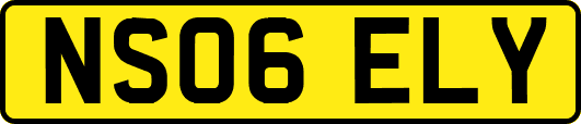 NS06ELY