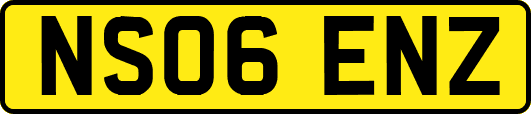 NS06ENZ