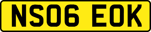 NS06EOK