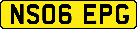 NS06EPG