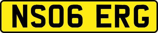 NS06ERG
