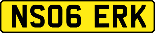 NS06ERK