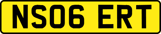 NS06ERT