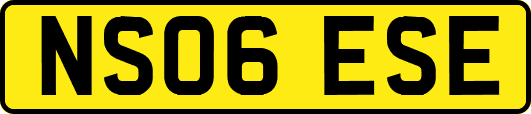 NS06ESE