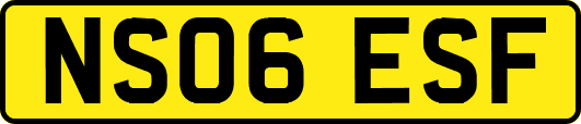 NS06ESF