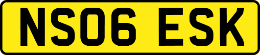 NS06ESK