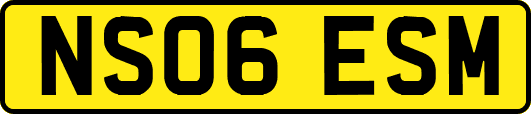 NS06ESM