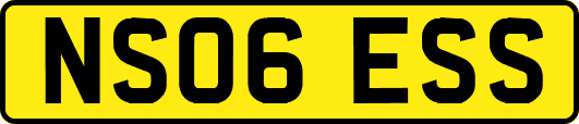NS06ESS