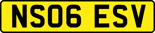 NS06ESV