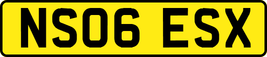 NS06ESX