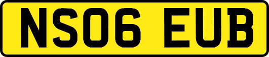 NS06EUB