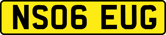 NS06EUG