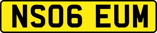 NS06EUM