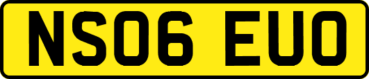 NS06EUO