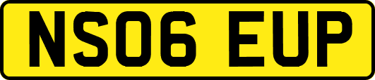 NS06EUP