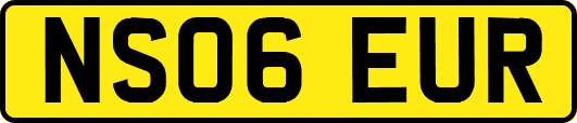 NS06EUR