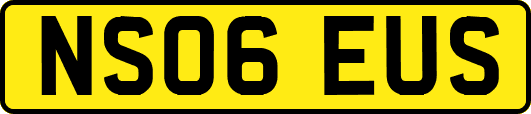 NS06EUS