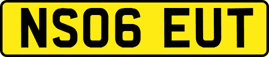 NS06EUT
