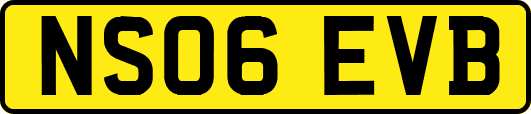 NS06EVB