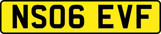 NS06EVF