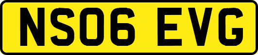 NS06EVG