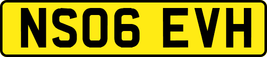 NS06EVH