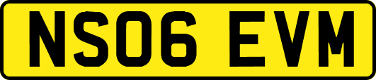 NS06EVM