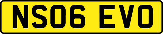 NS06EVO