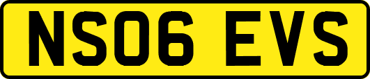 NS06EVS