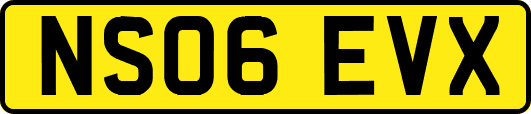 NS06EVX