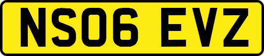 NS06EVZ