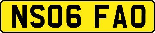 NS06FAO