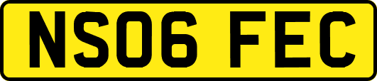 NS06FEC