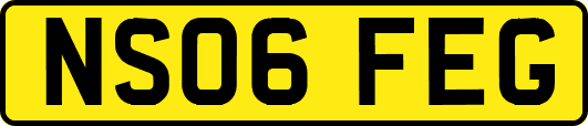 NS06FEG