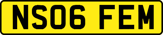 NS06FEM
