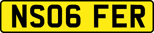 NS06FER