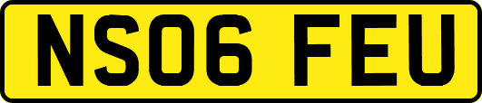 NS06FEU