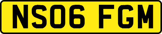 NS06FGM