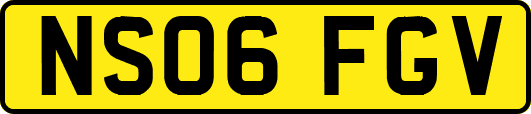 NS06FGV