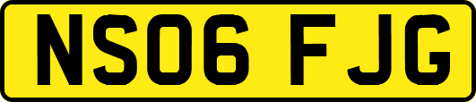 NS06FJG