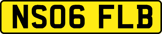 NS06FLB
