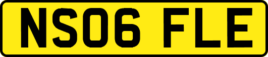 NS06FLE