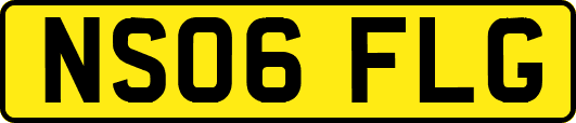 NS06FLG