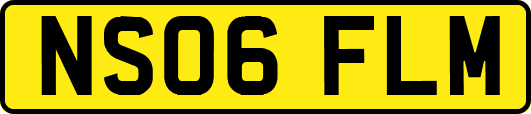 NS06FLM